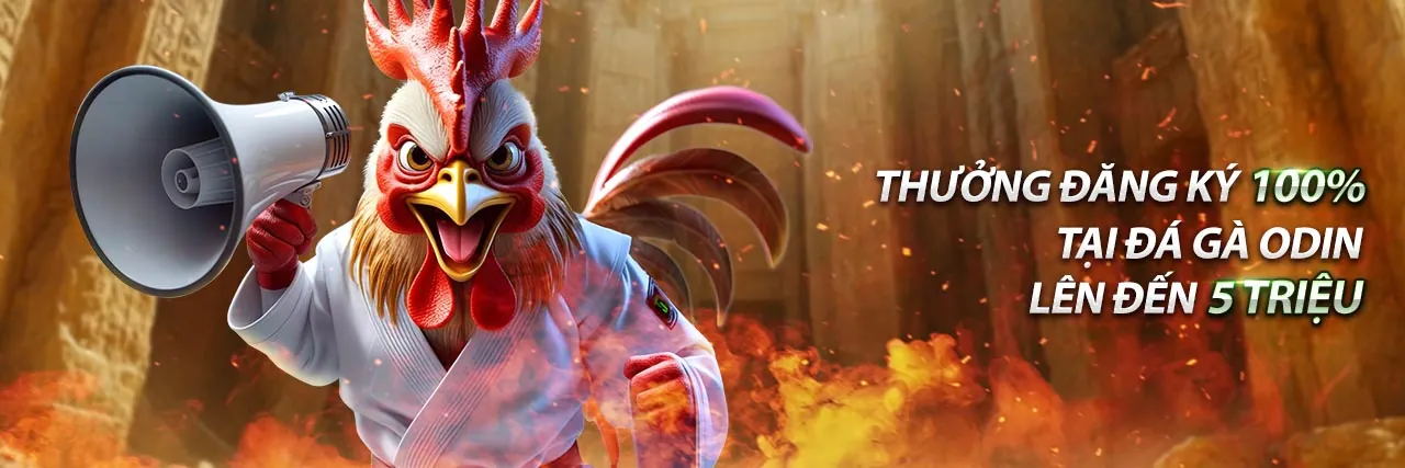 Cá cược thể thao sumclub win với sân vận động sôi động và tỷ lệ cược cao