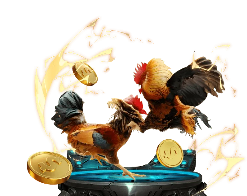 Hướng dẫn cá cược đá gà sumclub win